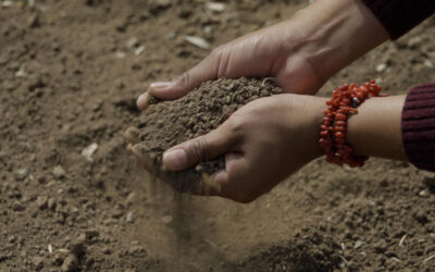 Documentary looks at the history, spirituality of Indigenous people to the land